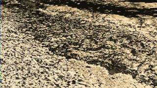 June Christy - Everything Happens to Me