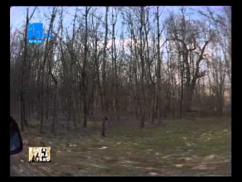 Istoriile vechi şi noi de la Comana