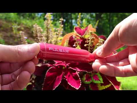 Pulsar DL Lite Auto-Draw Pen