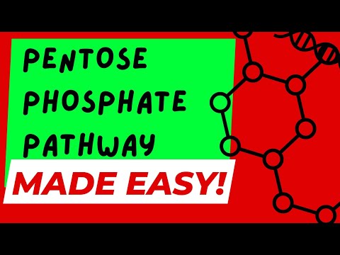 THE PENTOSE PHOSPHATE PATHWAY - MADE EASY!
