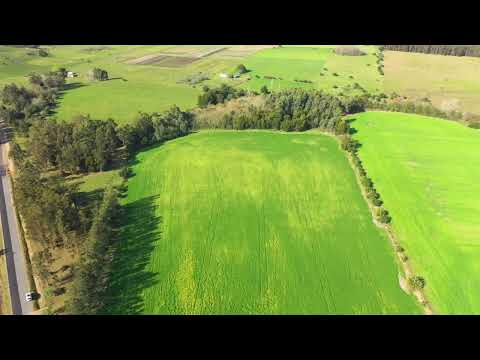 Chacra de 6 Hectareas sobre ruta 86 paraje Pantanoso, Sauce, Canelones, Uruguay.