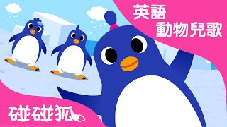 The Penguin Dance | 英語動物兒歌 | 碰碰狐！兒童兒歌