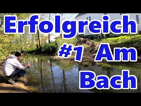 Erfolgreich am Bach - Floater Pose #1