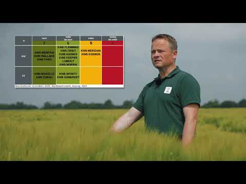 Risikominimierung im Wintergerstenanbau