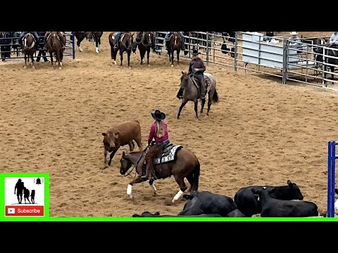 Cutting Horses Class 3 Open Set 1 - 2020 Metallic Cat West Texas Futurity