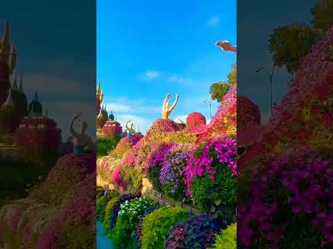 Dubai Miracle Garden 😍❤️ #dubai #miraclegarden #flowers