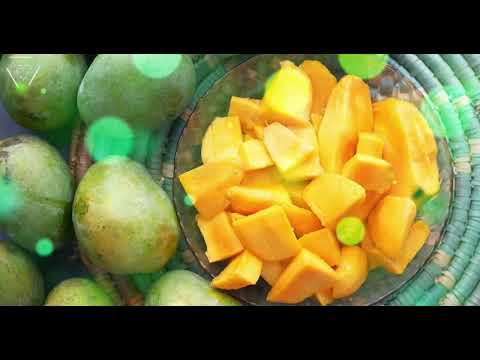 DJ Shishkin & DJ Bliznec Feat  Masta   Без Тебя   DJ YG REMIX