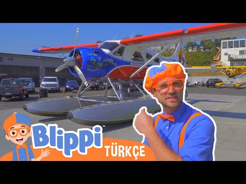 Blippi Deniz Uçağı Keşfediyor | Blippi Türkçe - Çocuklar için eğitici videolar | Türkçe Dublajlı