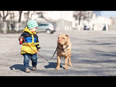 Are Pets Good for a Child with Autism? | Autism