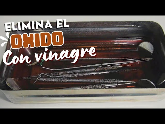 Vídeo relacionado con GuiroScraper de metal, resistente al óxido, antideslizante, para instrumentos, cepillo de acero duradero para banda de concierto, actuaciones en escenario, ensayo de conjunto musical