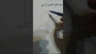 مساحة سطح المنشور الرباعي رياضيات سادس أغاني Mp3 مجانا