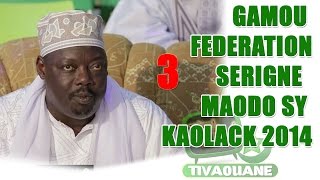 preview picture of video 'Gamou Fédération Serigne Maodo Sy kaolack 2014 (2ème partie)'