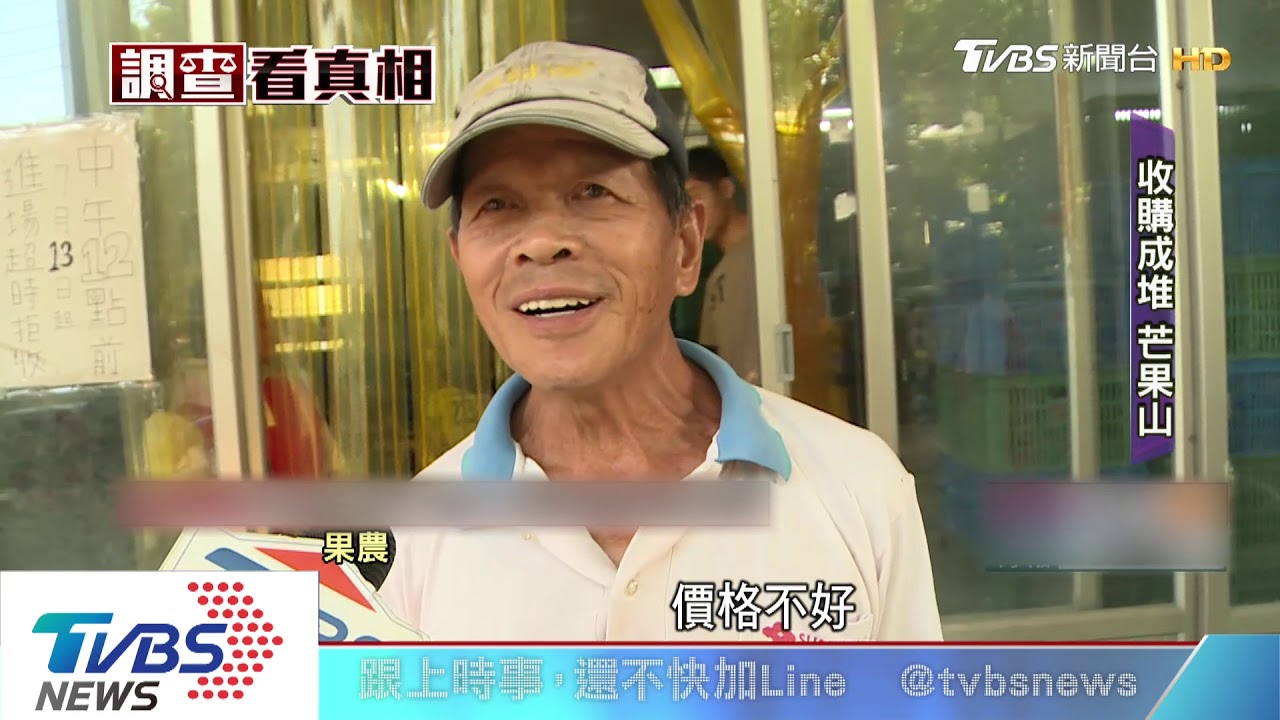 台南芒果盛產恐價跌 農委會補助收購
