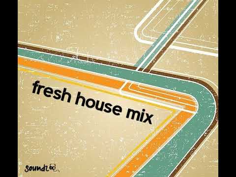 Fresh House Mix 5 by soundz - incl. tracks from Black V Neck, Darius Syrossian, Wh0 and more...