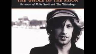 15 THE WATERBOYS   WHEN YE GO AWAY THE WHOLE OF THE MOON