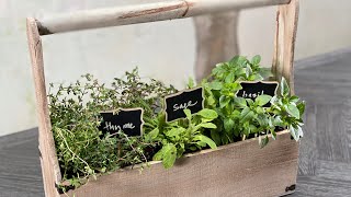 Indoor herb garden (DIY)