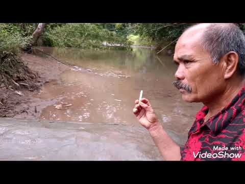 download lagu mp3 mp4 Buffalo Stone, download lagu Buffalo Stone gratis, unduh video klip Buffalo Stone