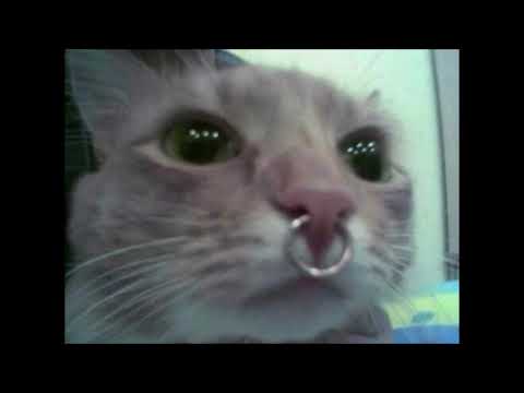 8TRXCK x OSC - MURDER SCENE. [PROD. REBZYYX]