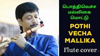 Pothi Vacha Malliga Mottu   ilayaraja Flute Cover 