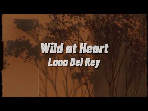 Lana Del Rey - Wild at Heart (Lyrics)