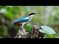 Surah Yasin Bangla Translation Full