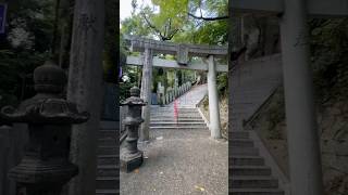 一日の神社⛩️ #vlog #japan