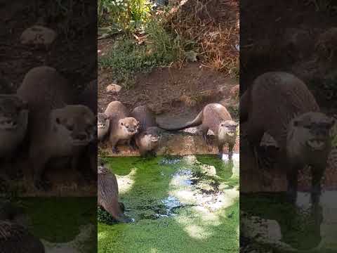 A Loving Moment  with my loving Children #love  #heart #happiness #nature #beauty #world