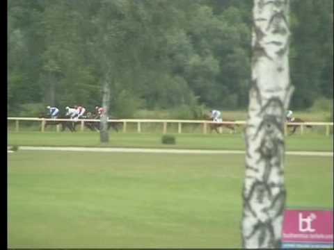 LL, 6. 7. 2016, 4. dostih - CENA společnosti Conseq