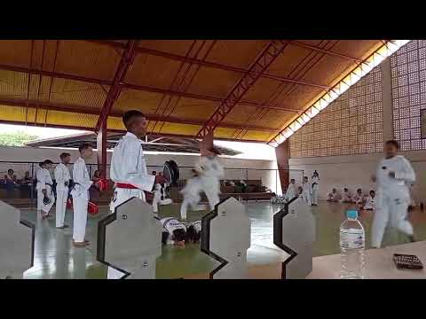 Taekwondo indiara-goias, segundo Exame de Faixas Coloridas 2025