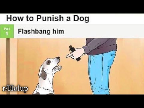 r/Holup | wait a second...