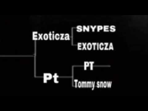 PT vs ExoticZa