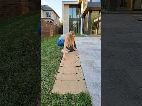 Turn Kitchen Waste Into a Beautiful Garden Bed