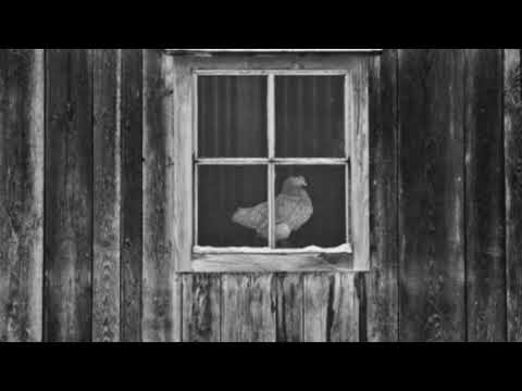 The Bigfoot Of The Old Blue Ridge - Bigfoot's Wilderness