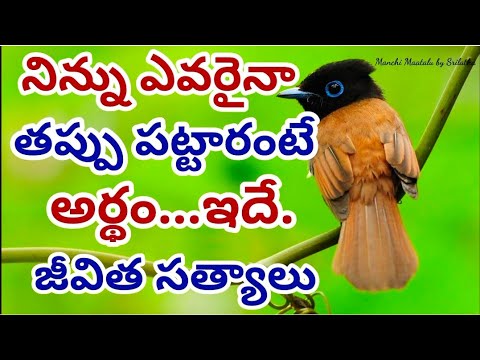 Jeevitha Satyalu| Famous quotations| Life quotations|Motivational quotes|Manchi Maatalu by Srilatha|
