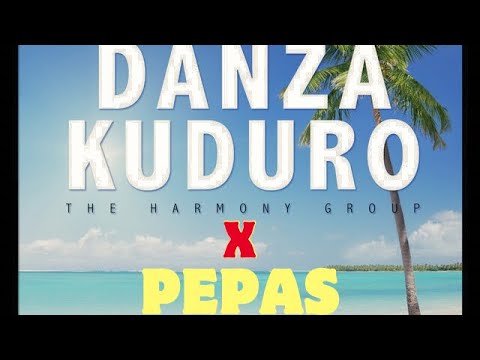 Danza Kuduro X Pepas (Felipe Aiassa Mashup)
