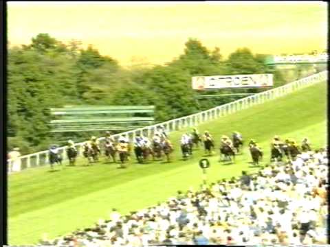 1996 - Goodwood - Stewards' Cup - Coastal Bluff