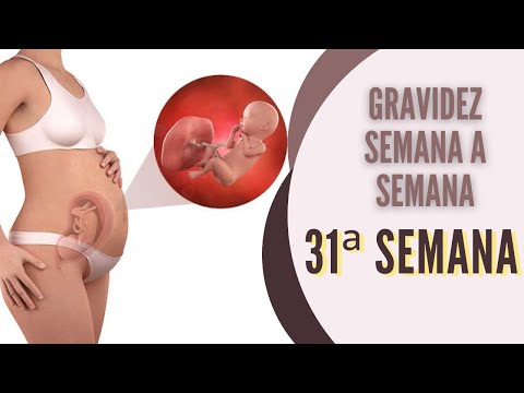 PREGNANCY WEEK BY WEEK: 31st Week