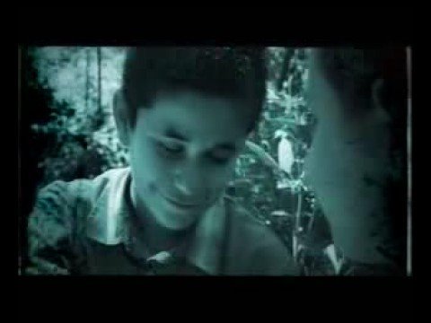 Dj Akman - Bir Fidan Gibi