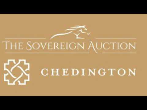 Filly Foal - Churchills So Sarco