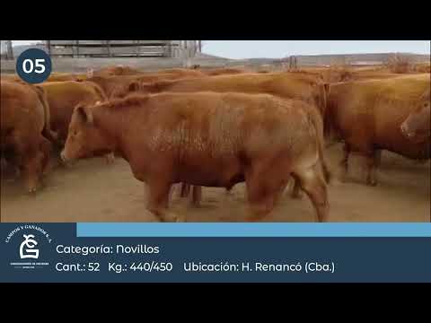 Lote Nv Consumo - Villa Huidobro Córdoba