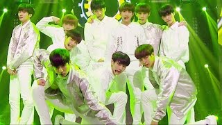 《POWERFUL》 PENTAGON (펜타곤) - GORILLA @인기가요 Inkigayo 20161023
