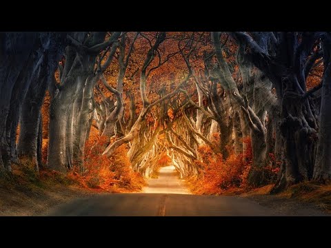 Wunschpartnerorakel | Liebesorakel