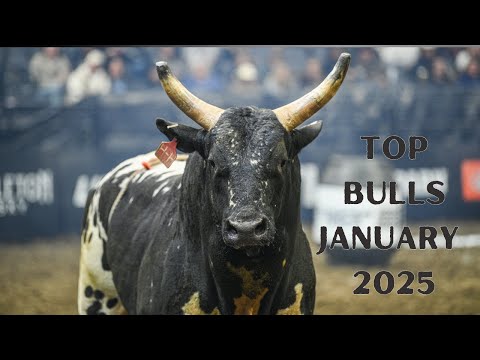 Counting Down The Rankest Bulls of January 2025!