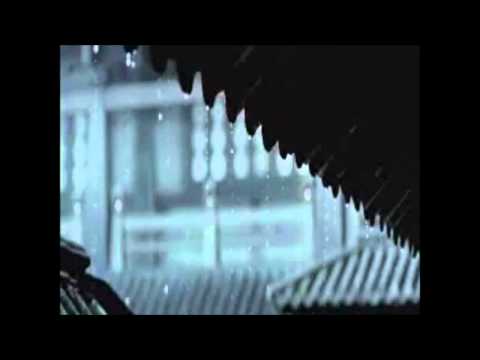 Sigara Bastım Hayallerime - Sparki