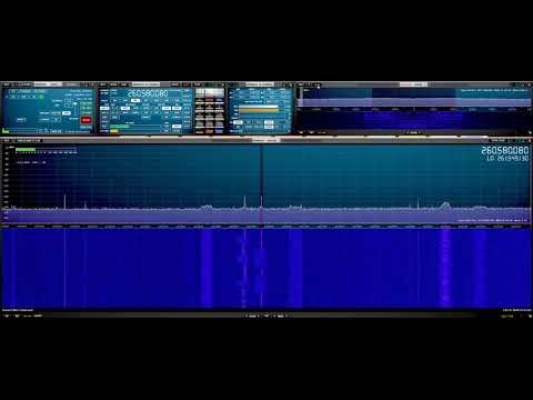 bootleggers on the FLTSATCOM satellites