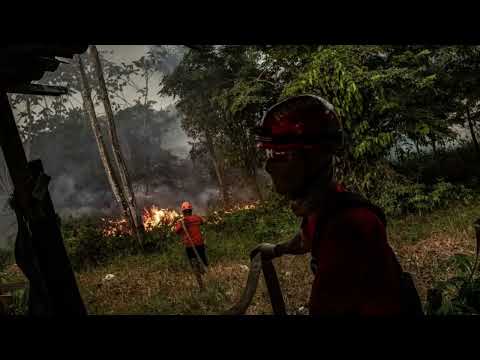 Scientists grow whole model of human embryo, without sperm or egg - Made with Clipchamp