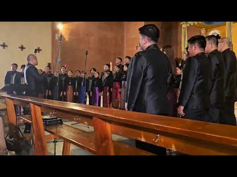 Gran éxito de público en la XXX edición del Ciclo Coral Internacional de Navarra: más de 8.100 asistentes