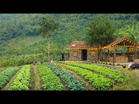 A young chef leaves the city to farm, raise livestock, and live a self-sufficient rural life.