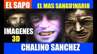 EL SAPO EL HOMBRE MAS SANG1NARIO DE MEXICO | CHALINO SANCHEZ | NUEVA VERSION