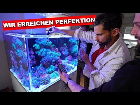 This aquarium is the ultimate level!! *unbelievable*